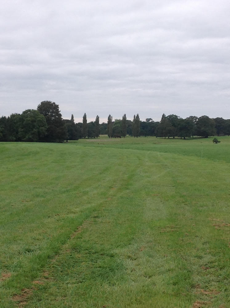 Revesby Park Course Photos - Cut track in front of horse box area