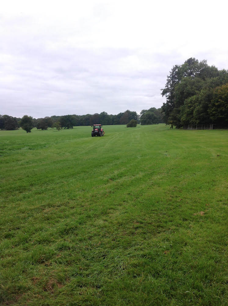 Revesby Park course photos - down the hill