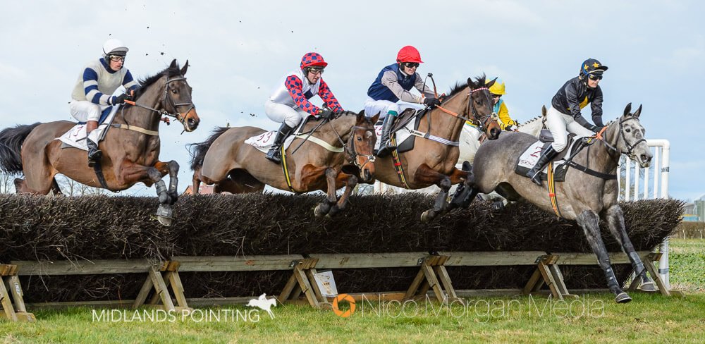 Four horses jump a fence at Thorpe Lodge racecourse