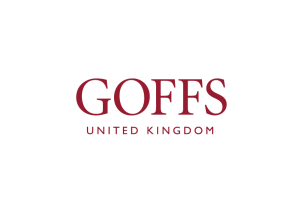 Goffs UK 4and 5-year old Maiden Series