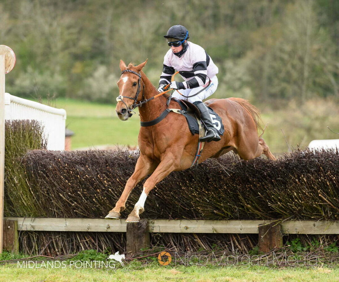 Revesby Races - 21st January - Preview.